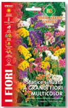 Statice Sinuata A Grandi Fiori Multicolor
