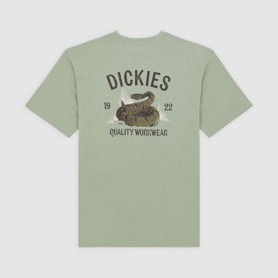 T-shirt Dickies Snake iceberg grey
