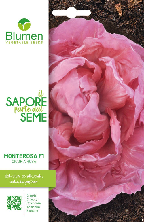 Cicoria Monterosa F1 Cicoria Rosa
