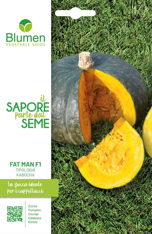 Zucca Fat Man F1 Tipologia Kabocha