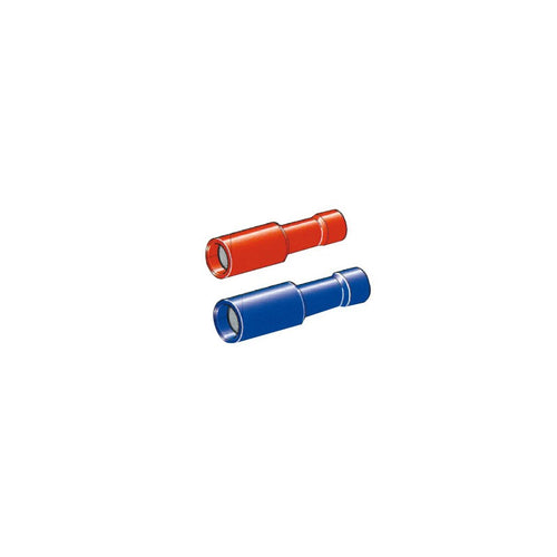 Term. Cilindrico Femmina Blu 100P