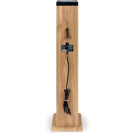 Altoparlante a torre - THOMSON - Nero/Legno - Bluetooth/CD/USB/SD, 60W, Radio FM, Telecomando, Alimentatore 230 V