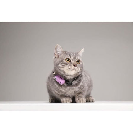 Repellente per gatti ad ultrasuoni - TICKLESS MINI CAT - Protezione contro zecche e pulci - Organo Viola