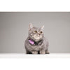 Repellente per gatti ad ultrasuoni - TICKLESS MINI CAT - Protezione contro zecche e pulci - Organo Viola