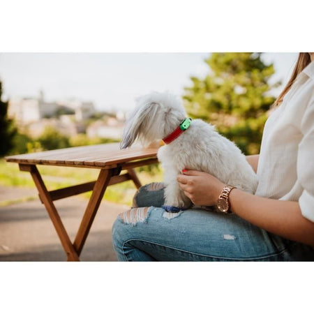 Repellente per cani ad ultrasuoni - TICKLESS MINI DOG&CAT - Protezione da zecche e pulci - Mentha Green