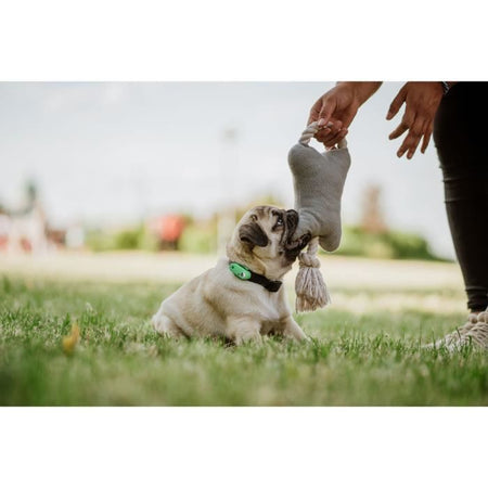 Repellente per cani ad ultrasuoni - TICKLESS MINI DOG&CAT - Protezione da zecche e pulci - Mentha Green