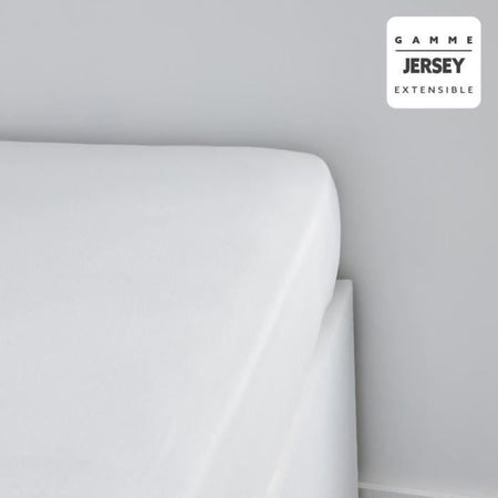 Oggi Essential oggi Charg - 90 x 190+25 cm - 1 persona - 100% Jersey Cotton - gesso