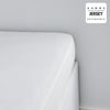 Oggi ESTIQUIAl oggi Charg - 160 x 200+25 cm - 1 persona - 100% Jersey Cotton - gesso