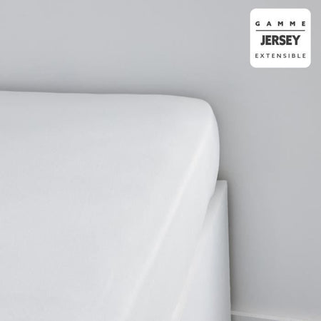 Oggi ESTIQUIAl oggi Charg - 160 x 200+25 cm - 1 persona - 100% Jersey Cotton - gesso