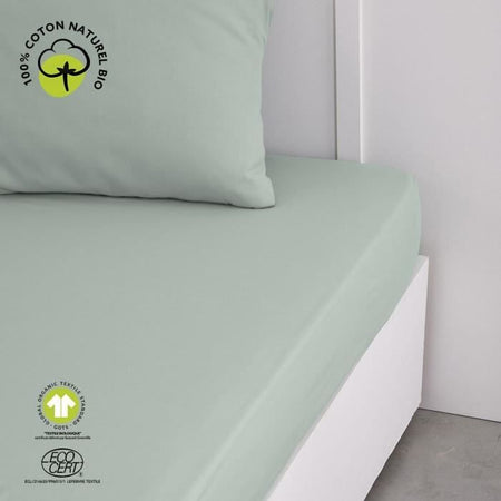 Lenzuolo con angoli - TODAY - 160 x 200 cm + 30 cm - Cotone - Celadon biologico