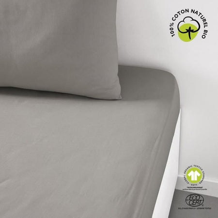 Lenzuolo con angoli - TODAY - 180 x 200 cm + 30 cm - Cotone - Dune Biologico
