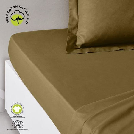 Lenzuolo con angoli - TODAY - 180 x 200 cm + 30 cm - Cotone - Bronzo biologico