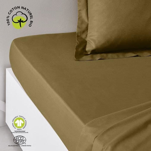 Lenzuolo con angoli - TODAY - 180 x 200 cm + 30 cm - Cotone - Bronzo biologico