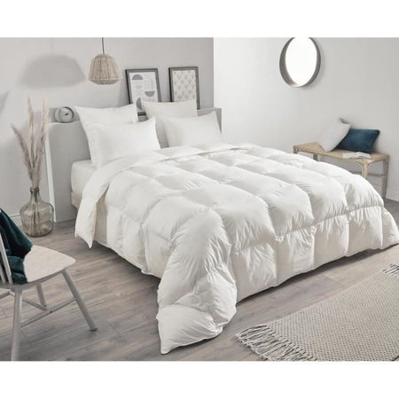 TOISON D'OR - Cuscino - Margherita - Piuma e piumino - 50x70 cm - Bianco