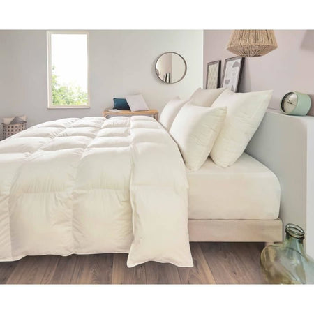 Cuscino - TOISON D'OR - POLLUX - Comfort deciso - 65 x 65 cm - Bianco
