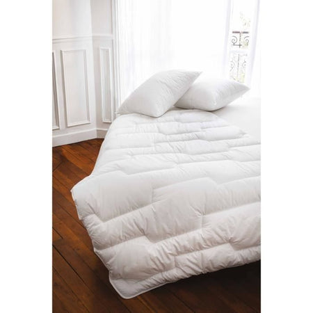 TOISON D'OR - Cuscino - Evasion - Comfort medio - 65x65 cm - Bianco