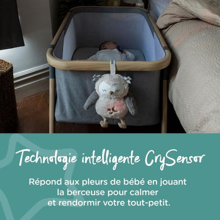 TOMME TIPPEE, lussuoso peluche con luce notturna con CrySensor, 6 suoni rilassanti, USB, lavabile in lavatrice, Ollie il gufo
