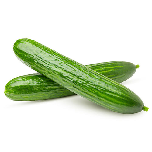 Semi di cetriolo  Lungo verde degli ortolani piante per orto e giardino