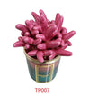 Candela media in ceramica bicolore fucsia anemone Melaverde Linea Tropicana da 200gr, fatta a mano, con scatola regalo elegante inclusa.