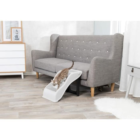 Cane scale 34x39x54 grigio