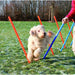 TRIXIE Paletti Slalom per Percorso Agility 115 cm 12 pz. Plastica