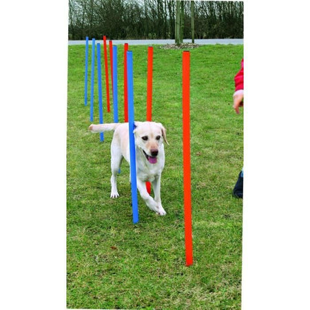 TRIXIE Paletti Slalom per Percorso Agility 115 cm 12 pz. Plastica