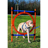 TRIXIE Cerchio Agility per cani 115 x 3 cm in plastica