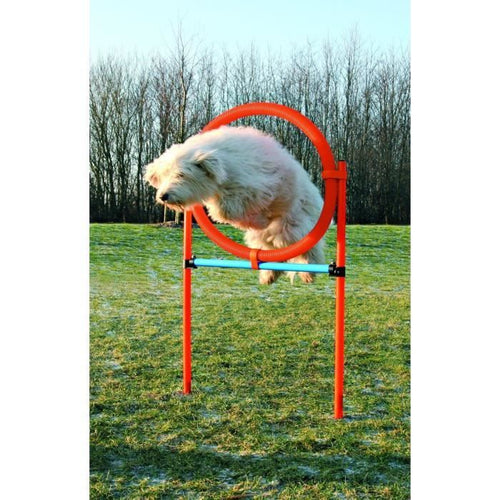 TRIXIE Cerchio Agility per cani 115 x 3 cm in plastica