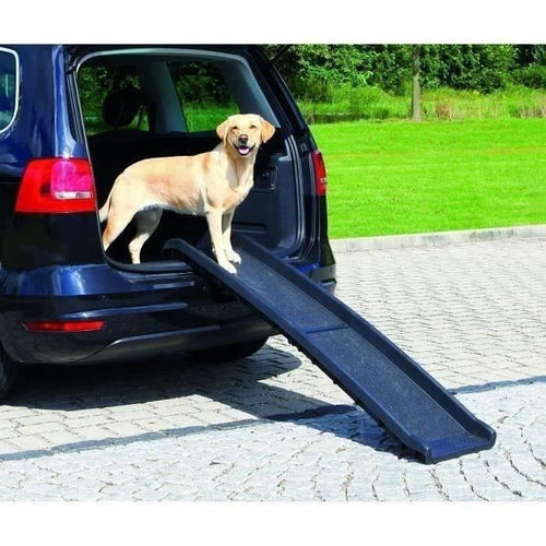 Rampa per gli animali