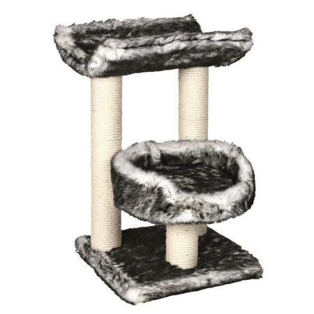 Cat albero Isaba