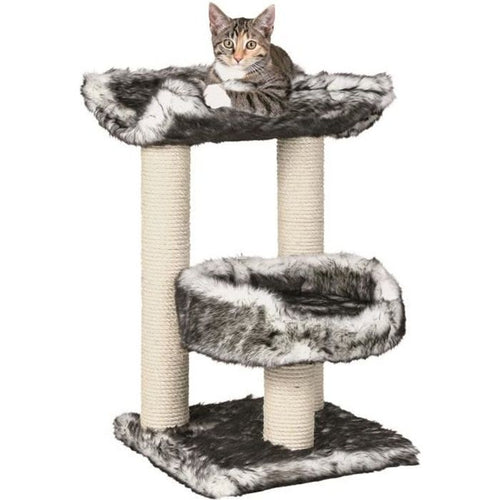 Cat albero Isaba