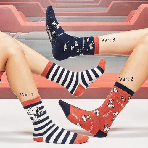 Calzini donna Gisela Surtido in cotone, Made in Italy, colori e fantasie assortite