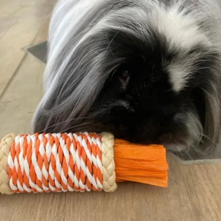 Accessorio per roditori - TYROL - Sacchetti di buccia di mais x2 - 17 x 5,6 x 5,6 cm