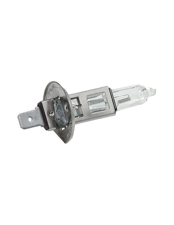 Lampadina per Auto Alogena H1 Massima Durata 12V 55W