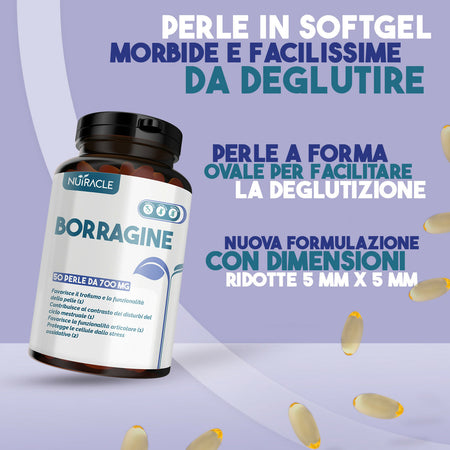 borragine-3