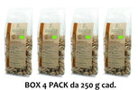 BOX 4 pz. SARAGOLLA