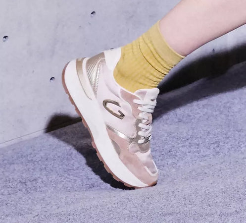Alberto Guardiani Donna Sneakers in suede