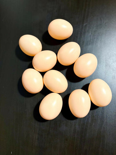 10 pz. Uova Finte per Galline in Plastica, aiutano le galline/uccelli nella Cova