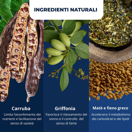 Brucia Grassi Notturno e Drenante con Garcinia e Tè Verde – Favorisce il Dimagrimento, Attiva il Metabolismo Riduce il Gonfiore Ritenzione Idrica | AlohaLabs Leggerissima Notte 60 Compresse