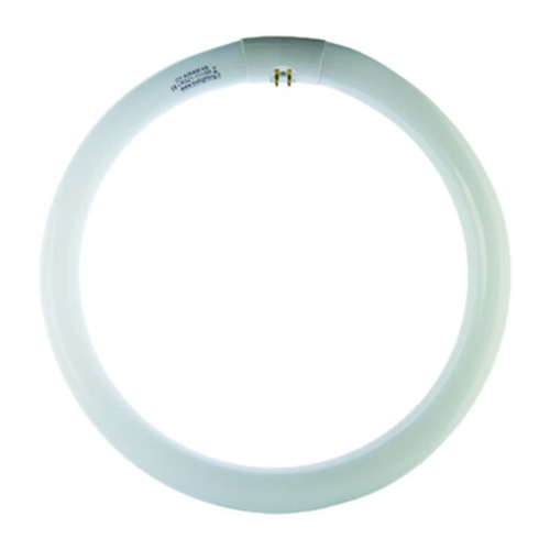 CIRCOLINA TRISFOSFORO T9 22W 6500K - ElettroWatt.eu