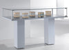 Vetrina con piantana silver per negozio abbigliamento cm. 117x51x104h