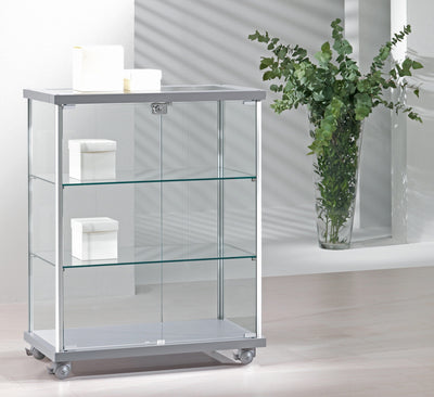 Vetrina esposizione rettangolare con profili alluminio e piani regolabili cm. 73x39x92h