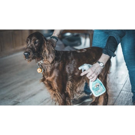 VETOCANIS Spray anti-pulci, anti-tick e anti-zanzare - Per cani - 500 ml
