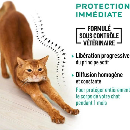 VETOCANIS 4 Pipette anti-pulce e anti-tick - Per Cat - 4x 1 mese di protezione