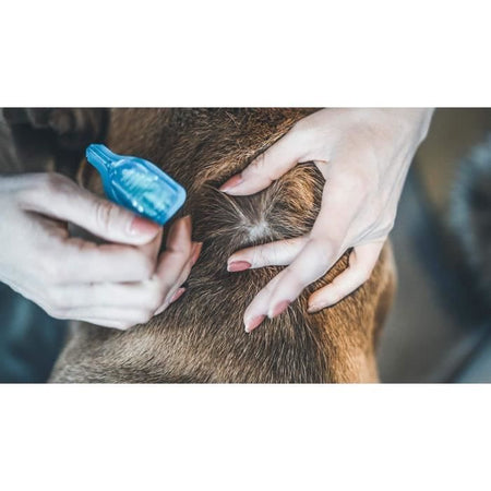 VETOCANIS Pipette Action Duo Spot on - Repellente per pulci e zecche per cani di grossa taglia - Set di 2 pipette