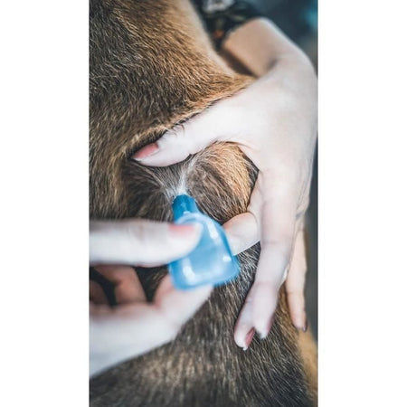 VETOCANIS Pipette Action Duo Spot on - Repellente per pulci e zecche per cani di grossa taglia - Set di 2 pipette