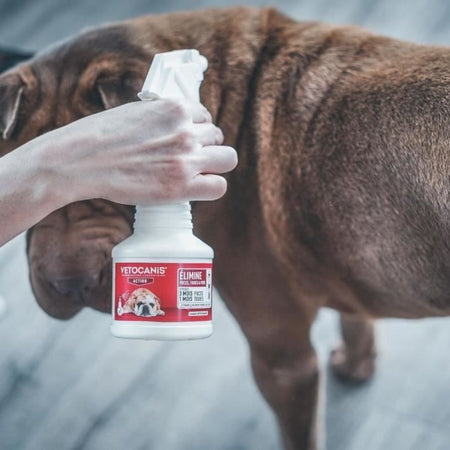 Spray 250 ml antiparassitaria
