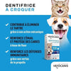 Dentifricio Per cat masticabili