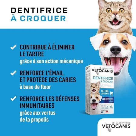 Dentifricio Per cat masticabili