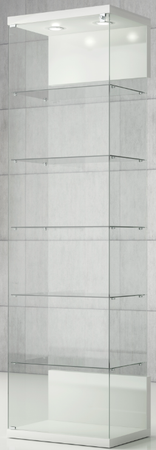 Vetrina espositiva con ripiani interni e plafoniera con faretti LED cm. 60x40x210h